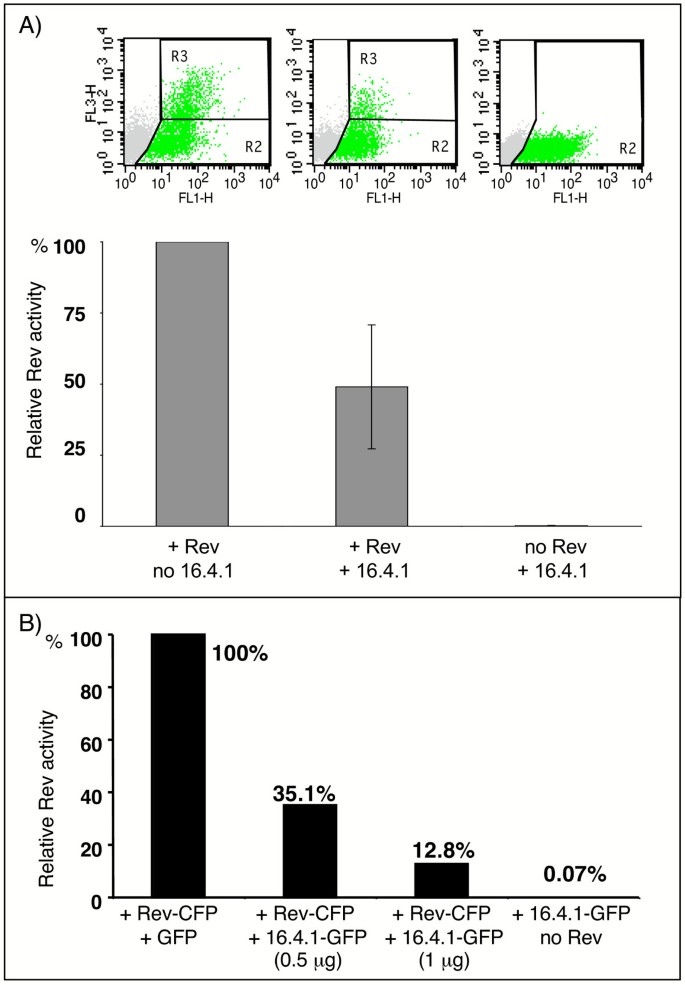 图8 16.4.1过表达对Rev活性的抑制