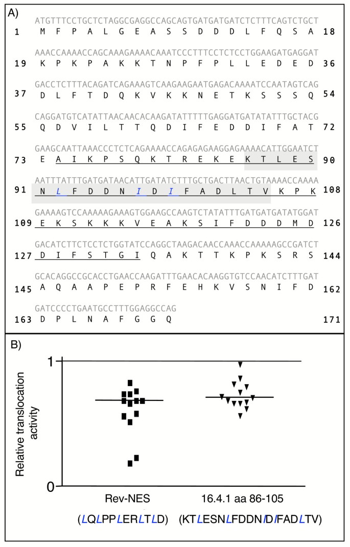 图5 16.4.1 NES的功能验证