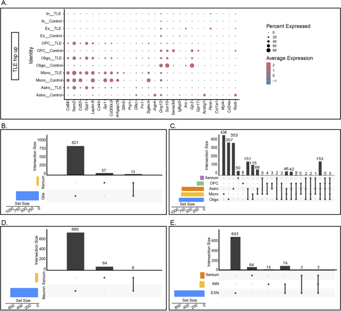 figure 8 多组学数据整合分析