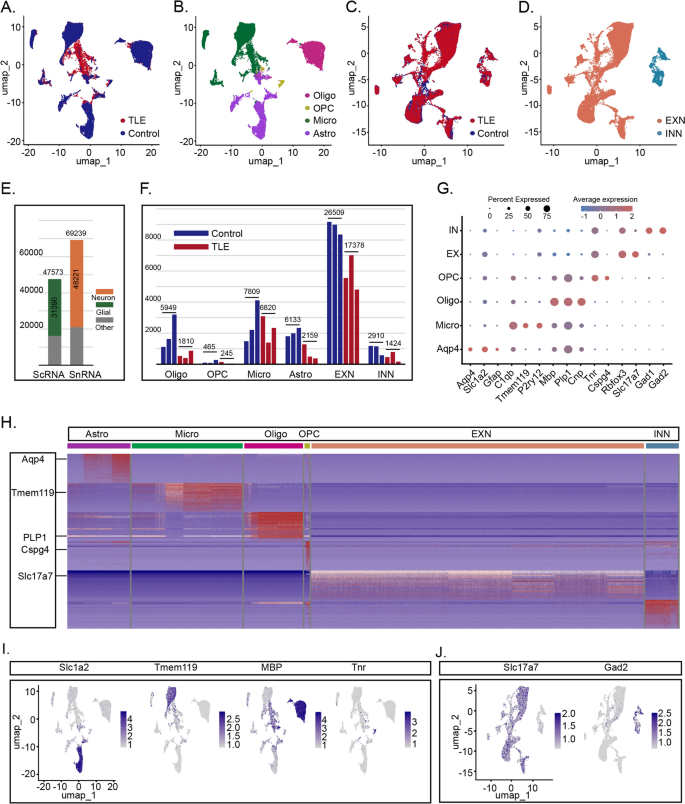 figure 2 细胞类型鉴定结果