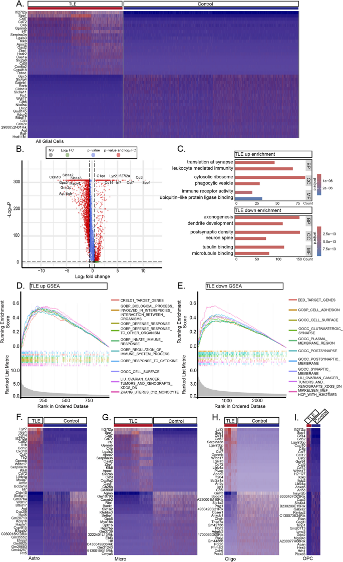 figure 3 胶质细胞差异基因及功能富集