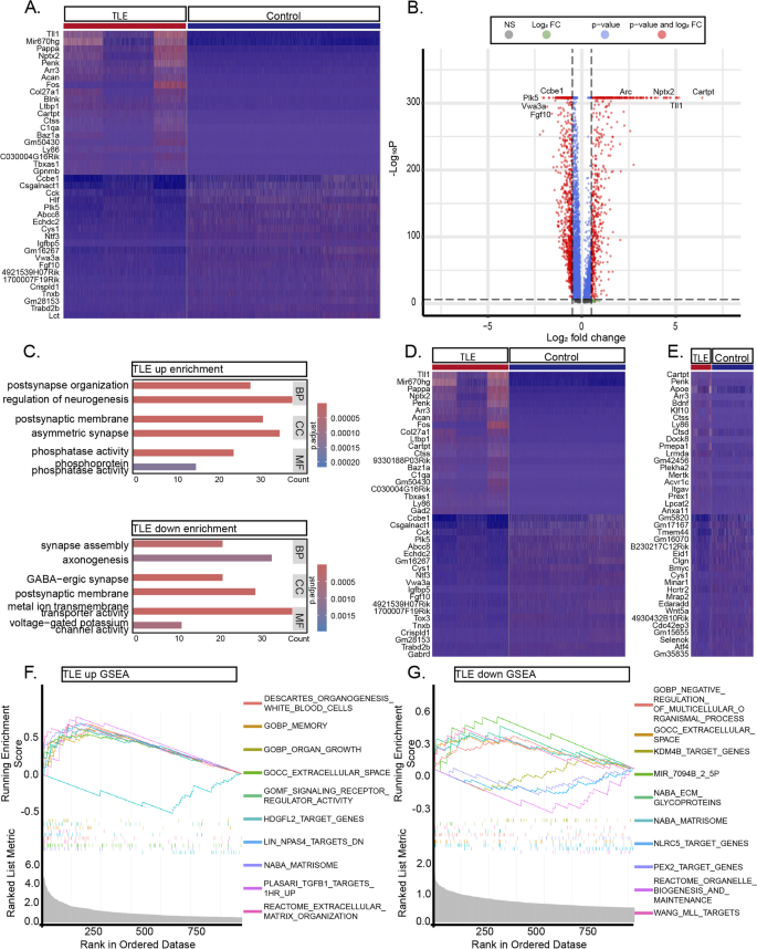 figure 4 神经元差异基因及功能富集