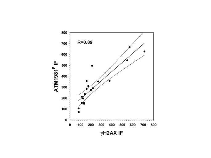 图4 ATM-S1981P与γH2AX表达的相关性分析