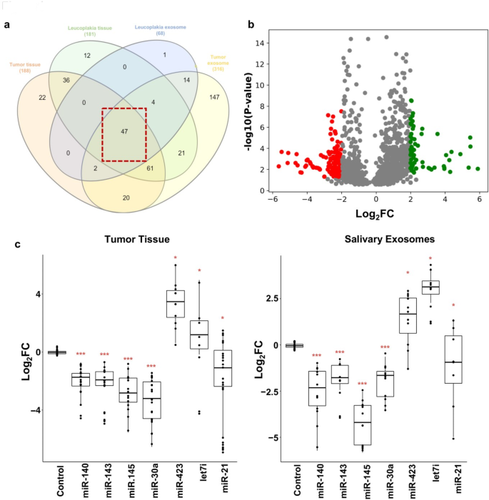 图1 唾液外泌体分离与表征结果