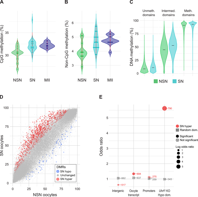 图3：NSN-SN的DNA甲基化动态