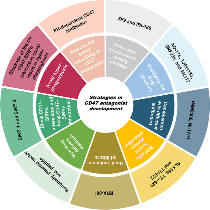 CD47拮抗剂的未来开发策略