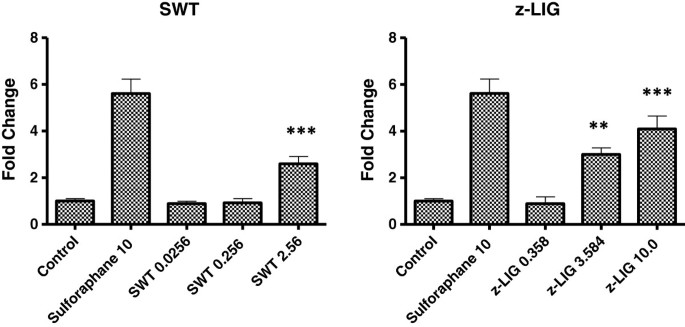 z-藁本内酯对ARE荧光素酶活性的影响