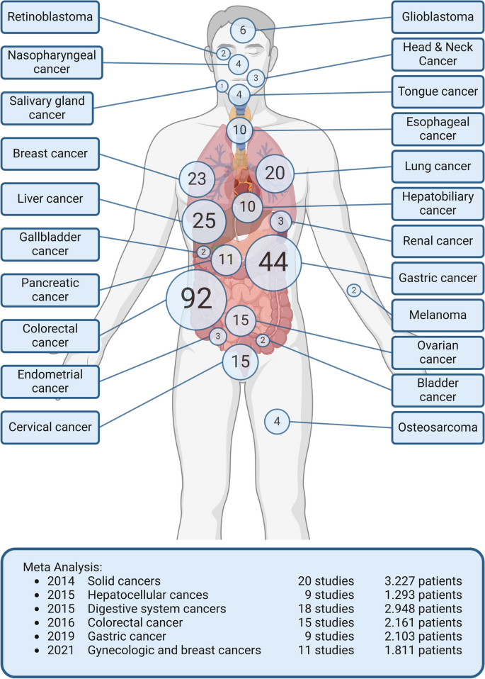 MACC1在不同癌症实体中的研究分布