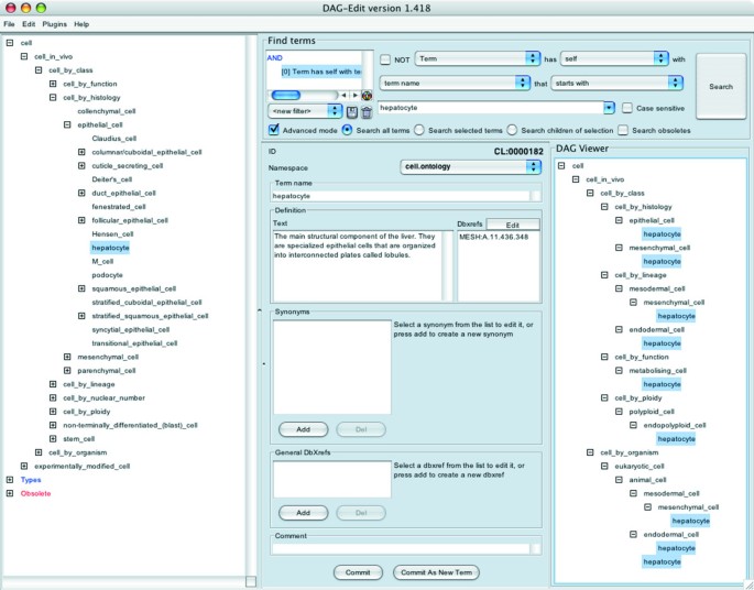 肝细胞在细胞本体论中的多维度分类展示