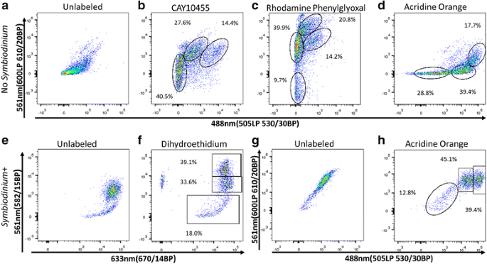图3 化学化合物筛选的细胞亚群区分示例