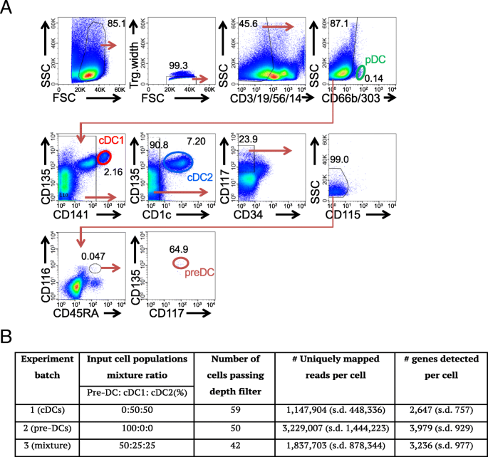 单细胞RNA测序揭示转录因子组合剂量决定前经典树突状细胞命运-文献解析