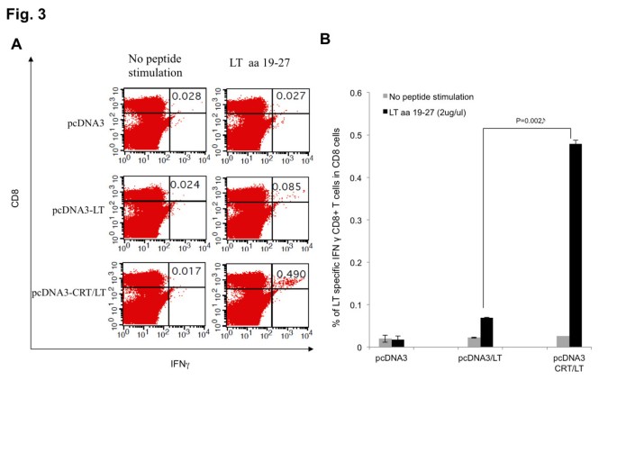 图3 不同疫苗诱导的LT特异性CD8+T细胞比例对比