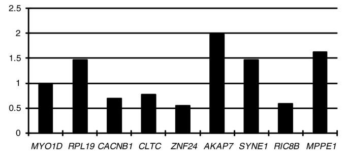 新X与新Y等位基因表达差异