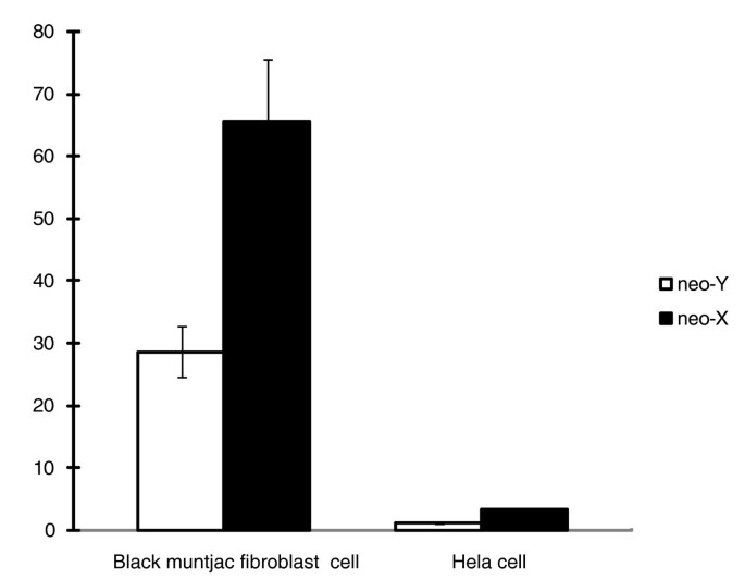 CLTC基因启动子活性检测