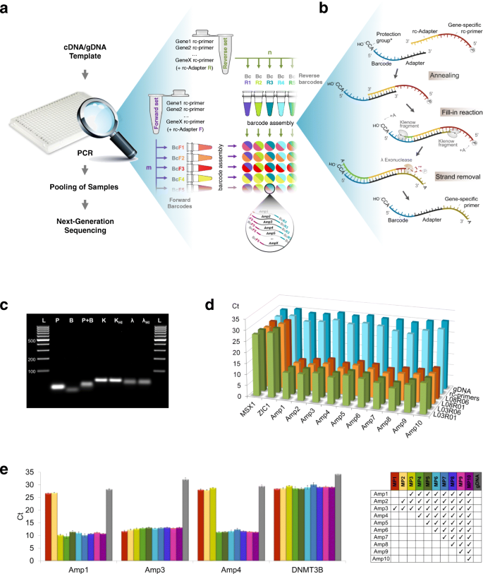 BART-Seq: 用于基因组学、转录组学和单细胞分析的低成本大规模平行靶向测序-文献解析