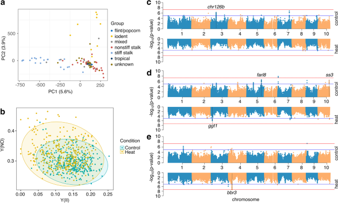 Mapping responsive genomic elements to heat stress in a maize diversity panel-文献解析