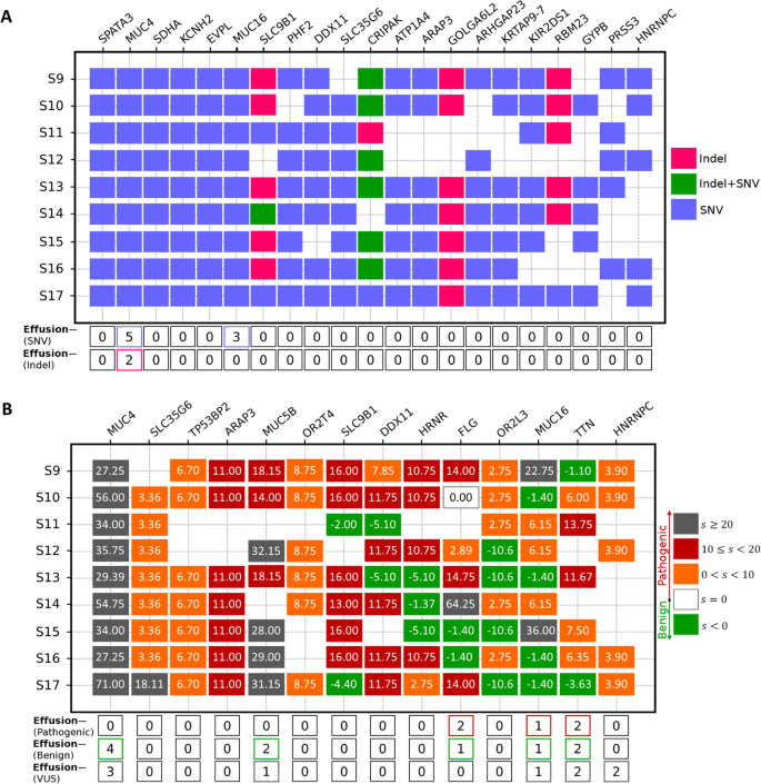 图2 伴积液DLBCL样本中高频突变的致病基因