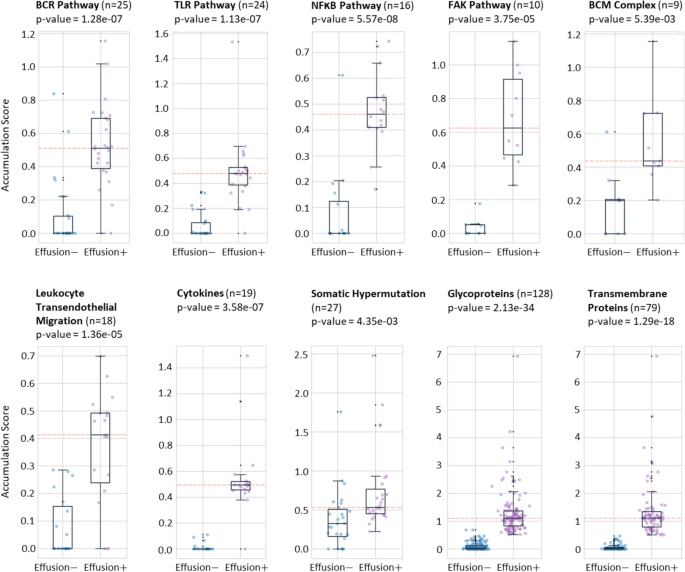 图1 两组DLBCL样本迁移/侵袭相关通路基因的突变累积评分对比