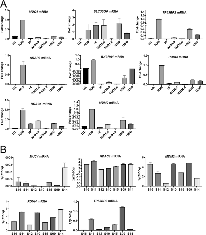 图5 qRT-PCR验证候选基因在DLBCL细胞系和临床样本中的表达