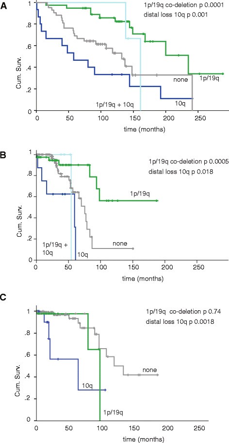三个队列中10q远端缺失与1p/19q共缺失的生存曲线