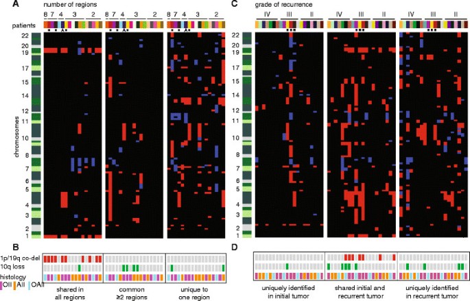 LGG中CNA的时空演化图谱