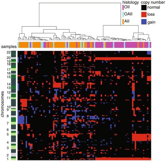 发现队列CNA无监督聚类图谱