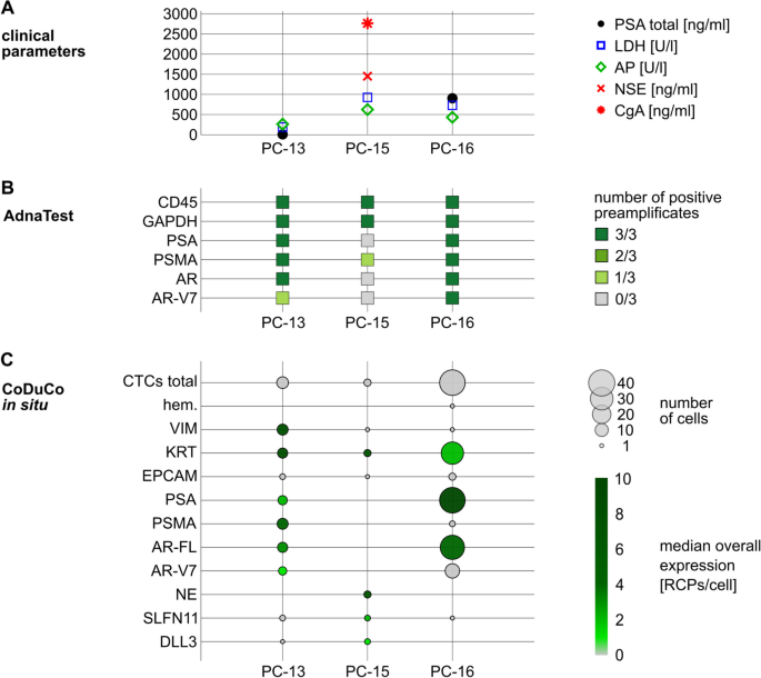 临床参数与检测结果对比