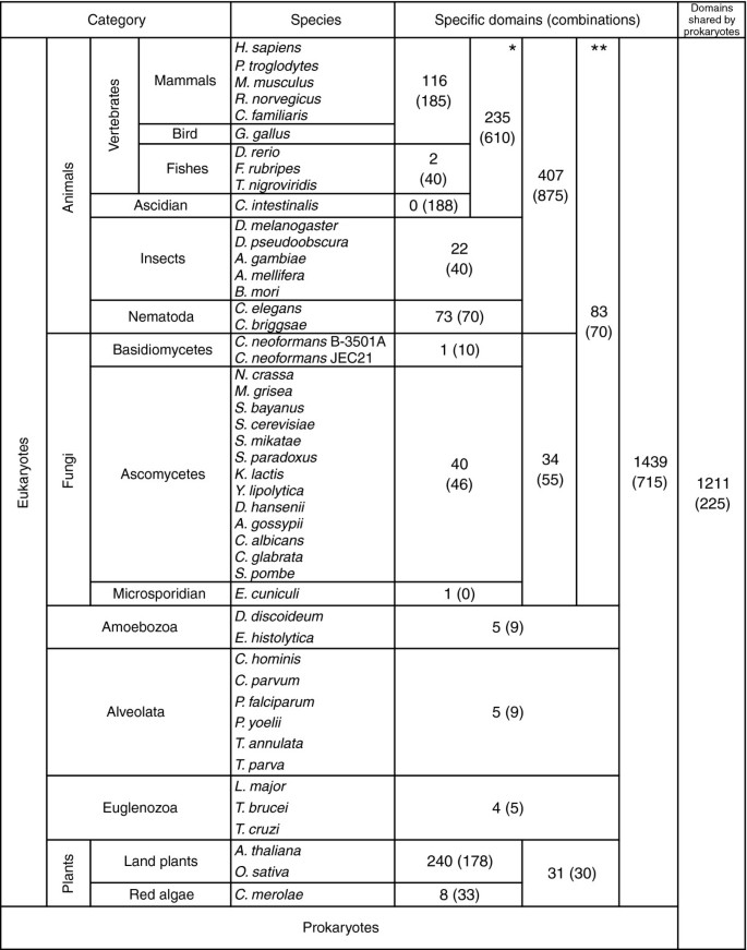 图3 不同真核生物类群的特异性结构域及组合数量