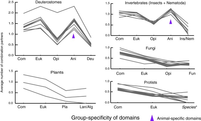 图4 不同类群特异性结构域的平均连接度分布