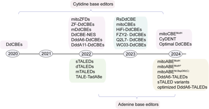 线粒体碱基编辑技术时间线