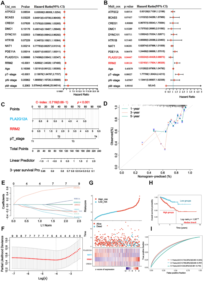 RRM2预后风险分析