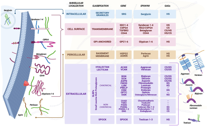 恶性造血蛋白聚糖组的转化视角-文献解析