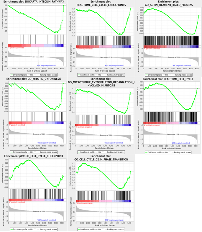 基因集富集分析（GSEA）
