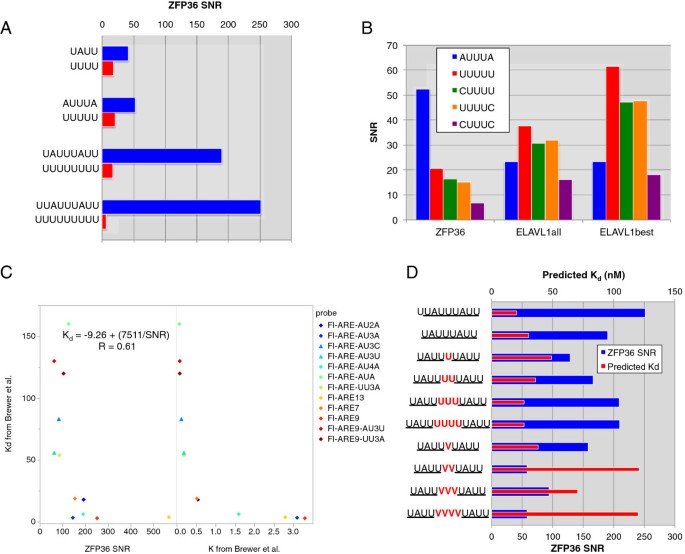 ZFP36体内结合特异性分析