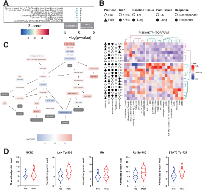 PI3K-AKT-mTOR通路基因表达变化