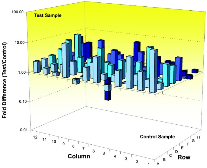 NAD处理对HEK293细胞周期基因的影响