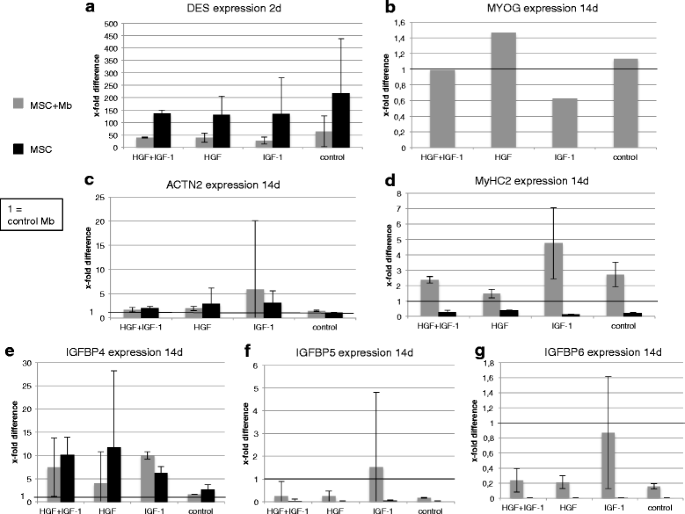 HGF和IGF-1联合刺激下肌源性标志物和IGFBPs的mRNA表达