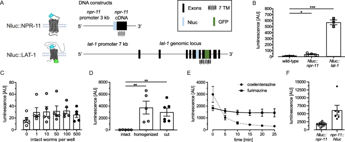 NanoBRET在秀丽隐杆线虫中实时解析功能性受体互作-文献解析