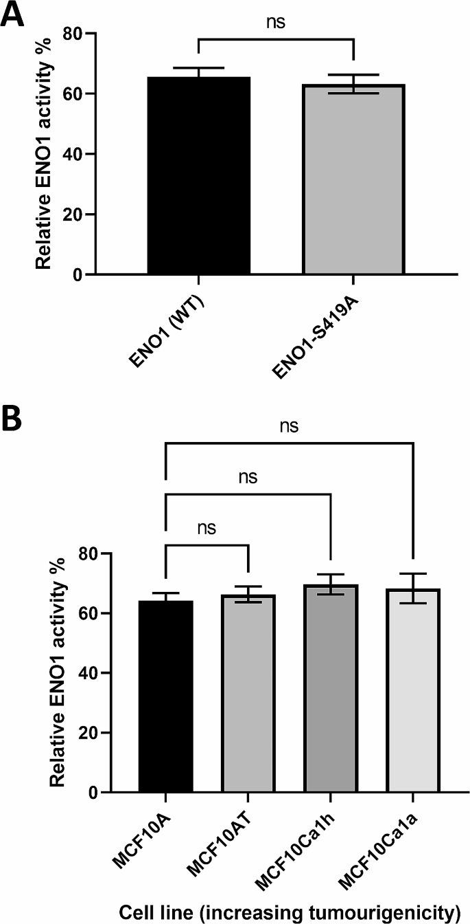 ENO1酶活检测结果