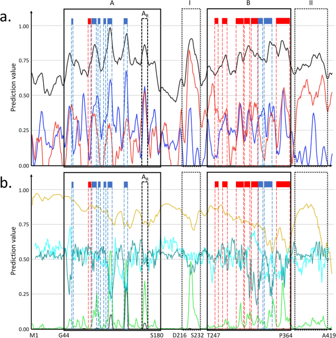 核蛋白P0DTC9的生物物理预测结果：展示不同区域的动态、折叠、无序等特征与已解析结构的对应关系