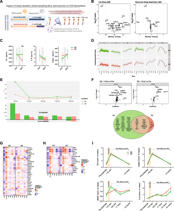 研究设计与实验流程