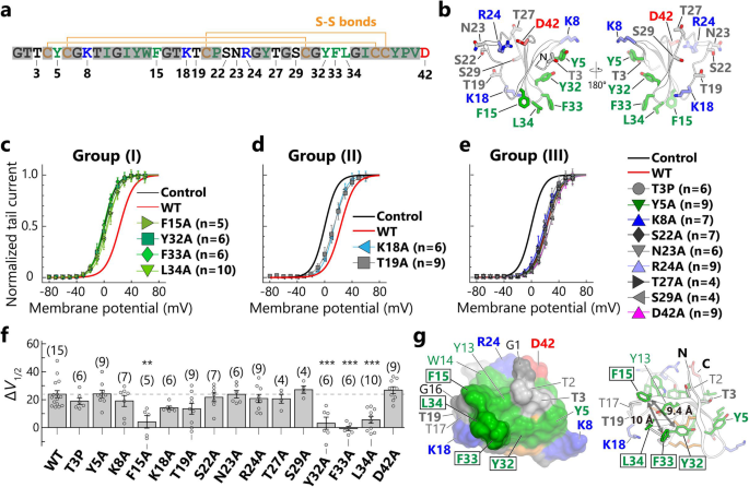 APETx1突变体的hERG抑制效应分析