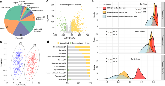 玉米代谢组介导干旱适应的基因组基础-文献解析