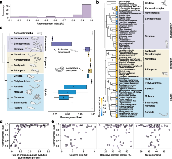 图2：基因组重排指数的分布及关联分析