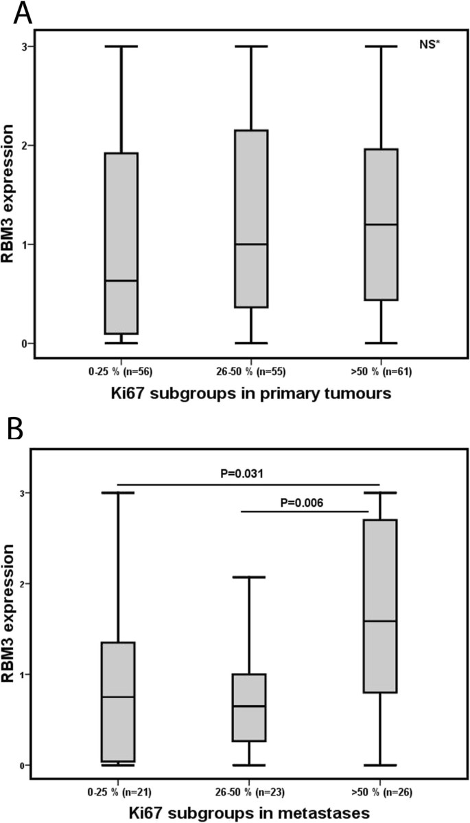 RBM3表达与Ki67增殖水平关联箱线图