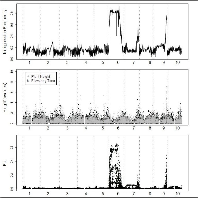 图2:高粱温带适应的全基因组分析