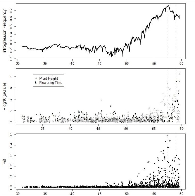 图4:9号染色体Dw1区域的分析