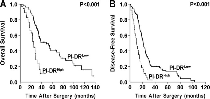 图4：不同PI-DR水平患者的生存曲线