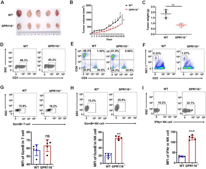 【文献解析】GPR116受体通过Gαq/HIF1α/NF-κB信号通路调控NK细胞抗肿瘤功能作为潜在免疫检查点