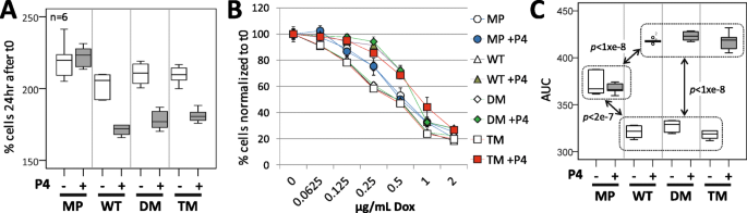 Fig2: PGRMC1磷酸化状态不影响孕酮与AG-205响应